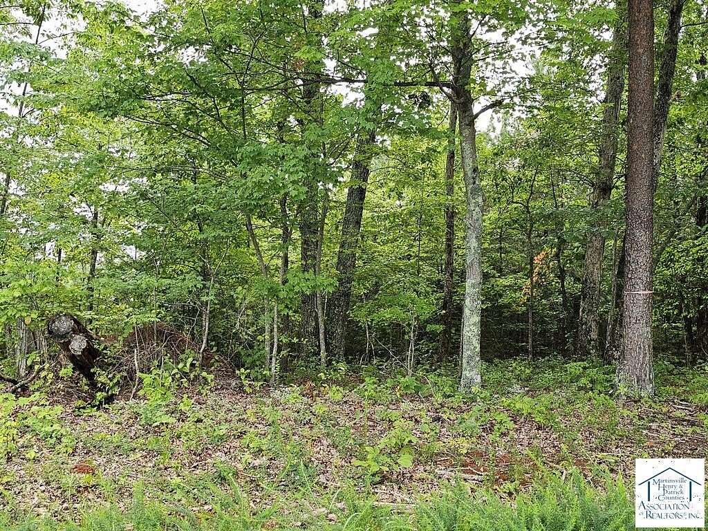64.9 Acres of Recreational Land for Sale in Ridgeway, Virginia