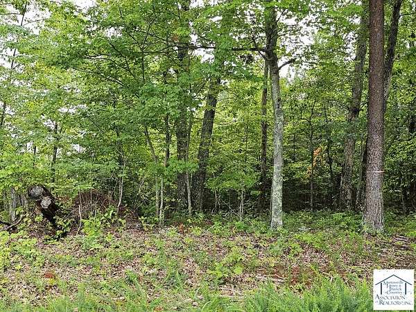 64.9 Acres of Recreational Land for Sale in Ridgeway, Virginia