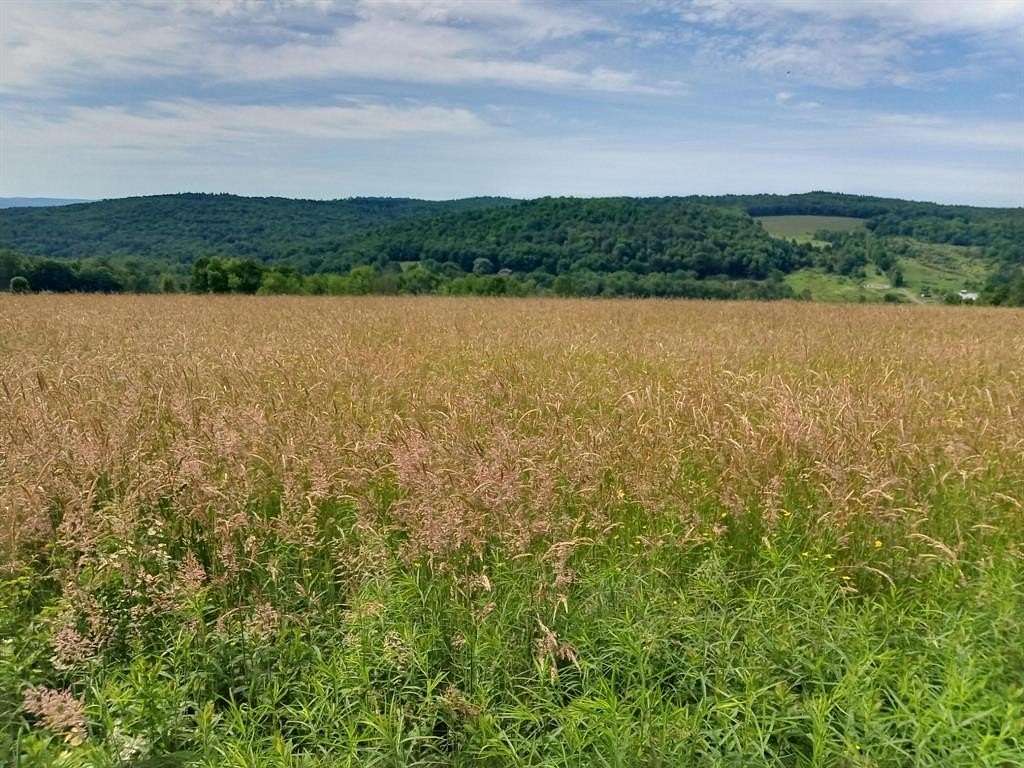 5.1 Acres of Residential Land for Sale in Bainbridge, New York