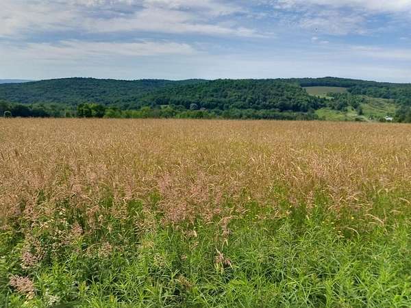 5.1 Acres of Residential Land for Sale in Bainbridge, New York