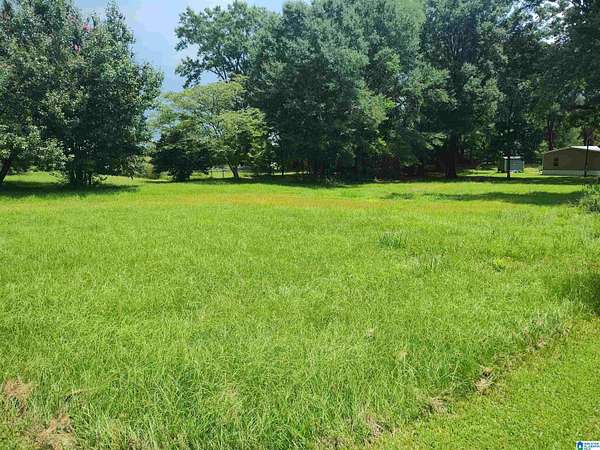 0.42 Acres of Residential Land for Sale in Wilsonville, Alabama