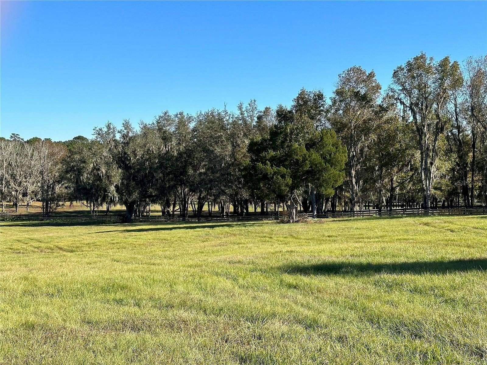 10.7 Acres of Land for Sale in Reddick, Florida
