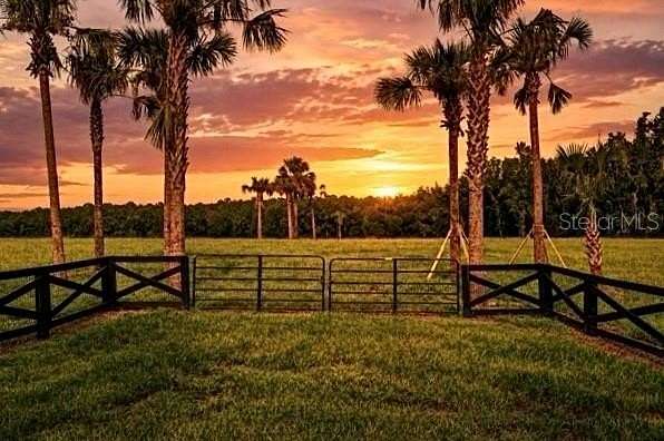 10.7 Acres of Land for Sale in Reddick, Florida