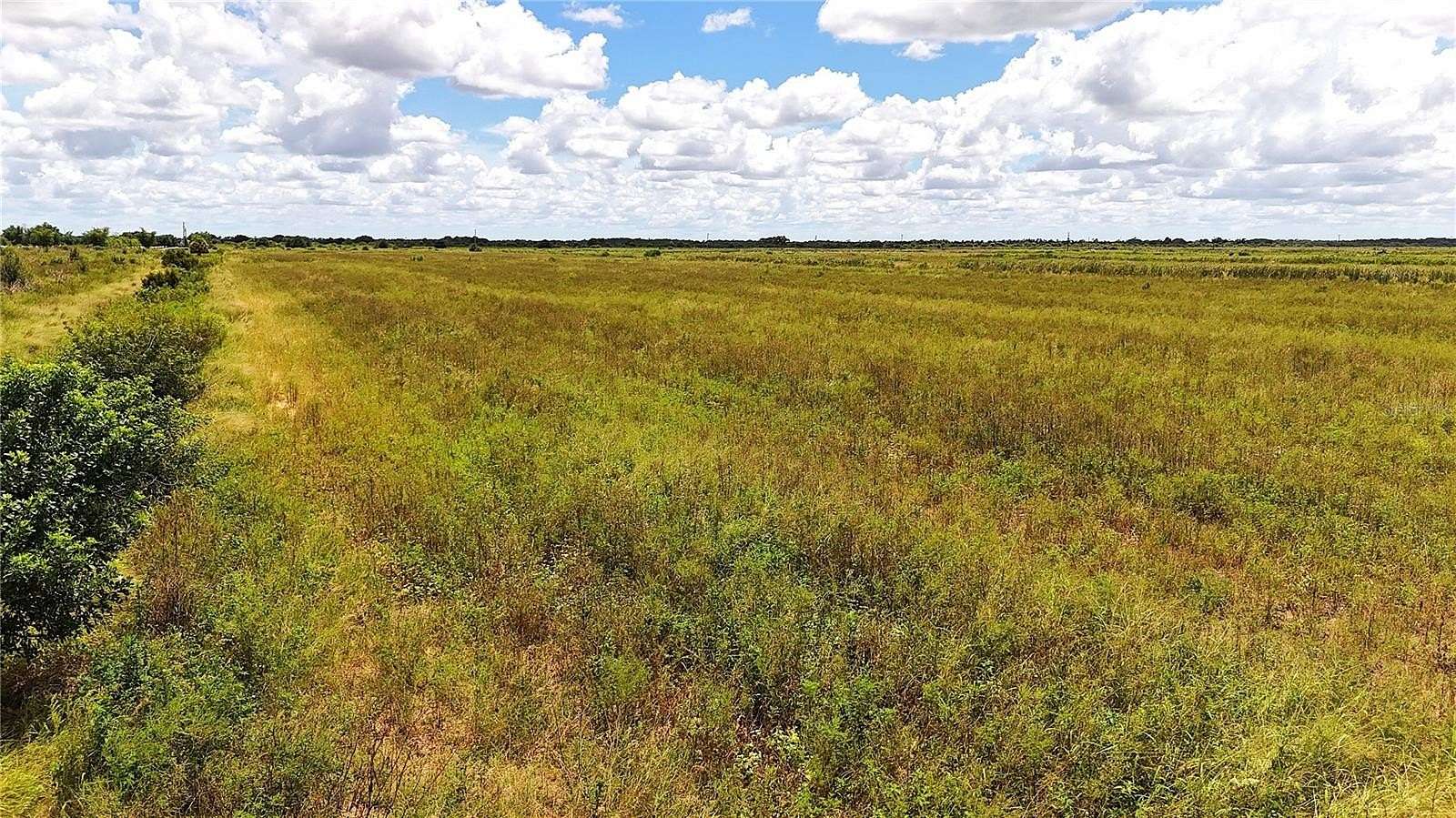 40 Acres of Agricultural & Residential Land for Sale in LaBelle, Florida