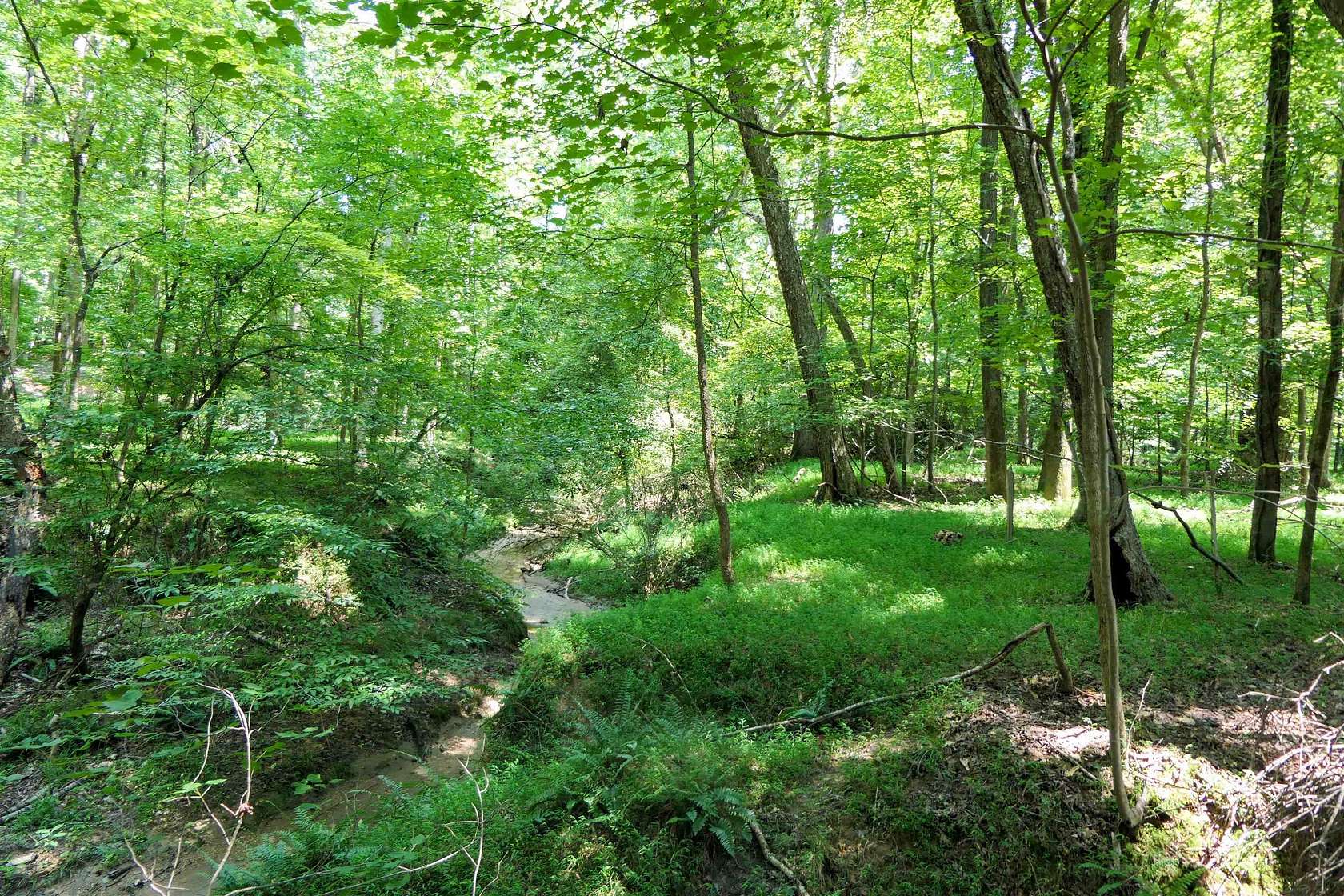 9 Acres of Residential Land for Sale in Union, South Carolina