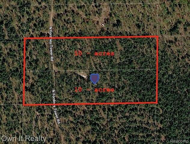 20 Acres of Recreational Land for Sale in Mcmillan Township, Michigan