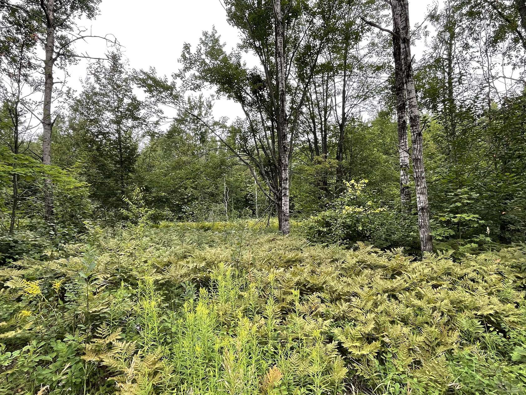 0.86 Acres of Land for Sale in Elmira, Michigan