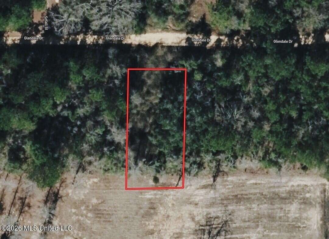 0.25 Acres of Residential Land for Sale in Lumberton, Mississippi