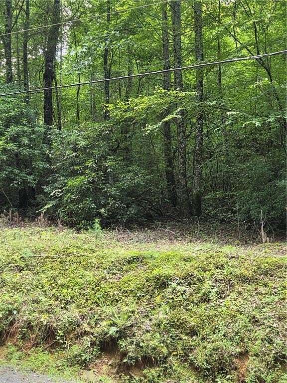 20 Acres of Land for Sale in Ellijay, Georgia