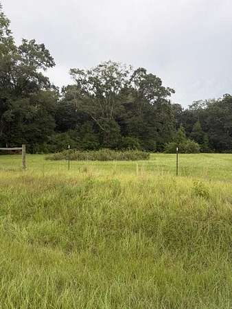 1 Acre of Residential Land for Sale in Slocomb, Alabama