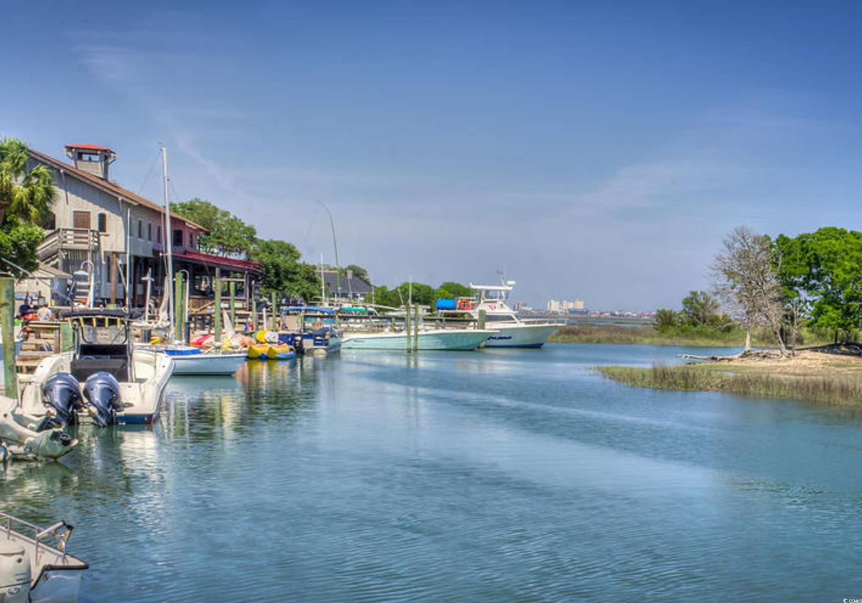 20.8 Acres of Recreational Land for Sale in Murrells Inlet, South Carolina
