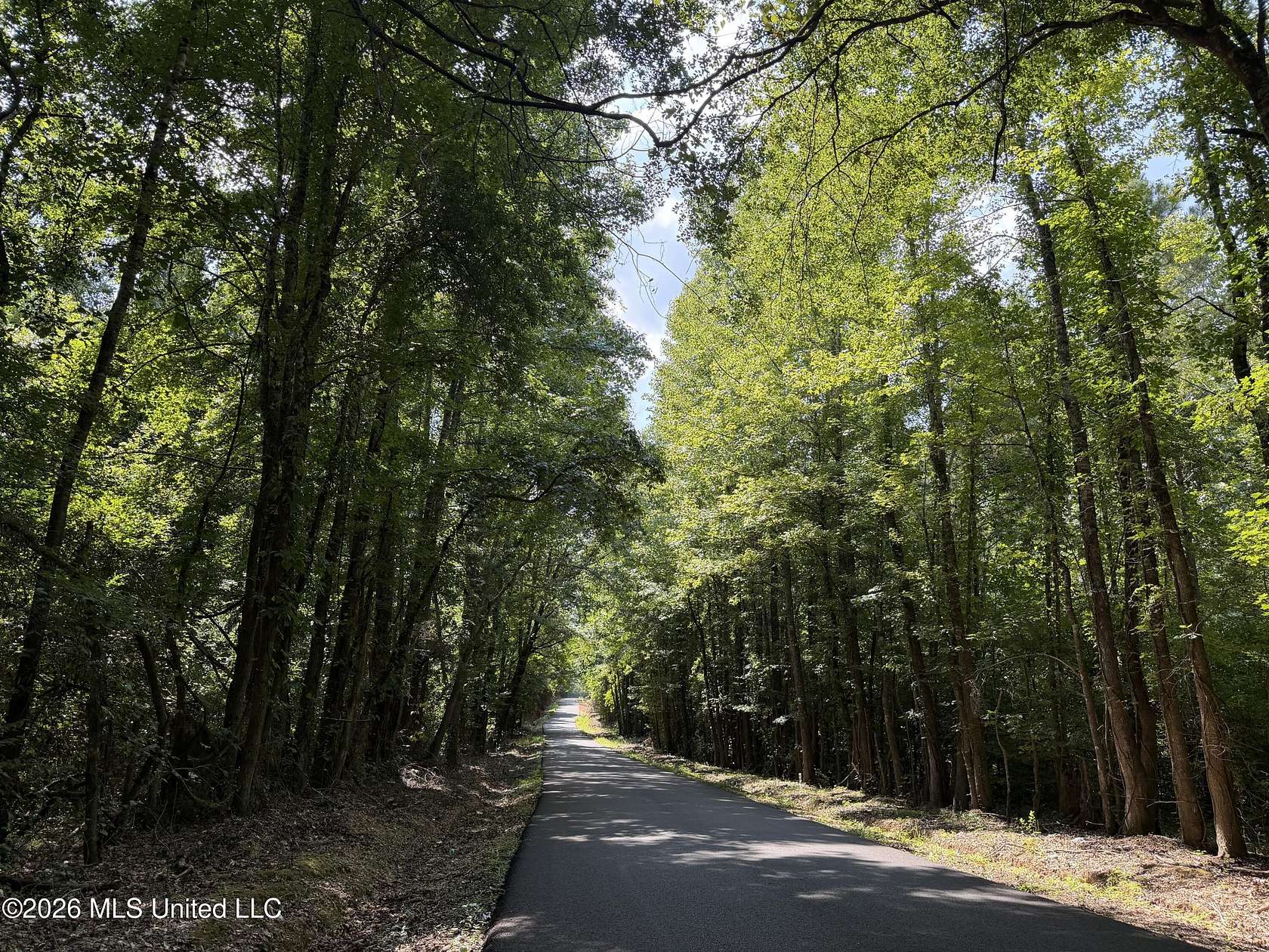 12.5 Acres of Land for Sale in Goodman, Mississippi
