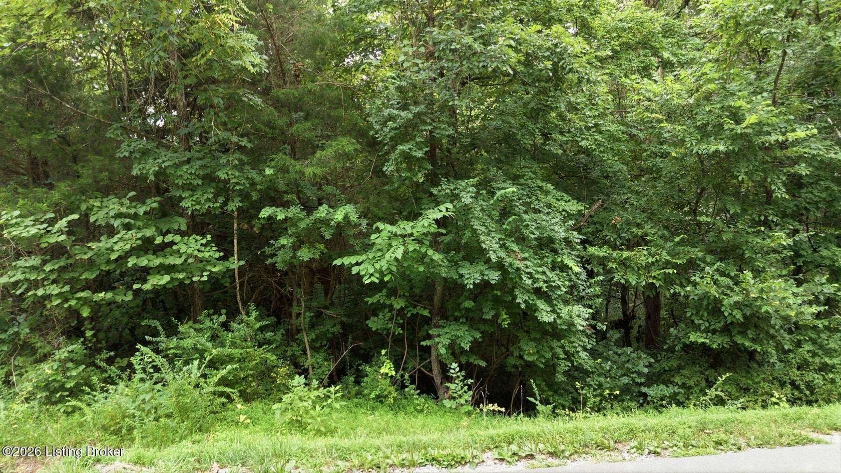 50.6 Acres of Recreational & Residential Land for Sale in New Haven, Kentucky