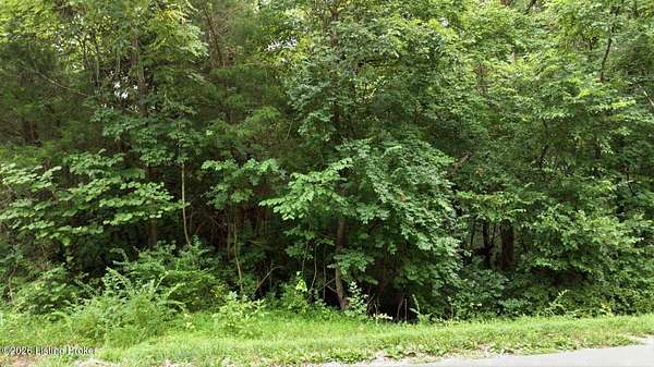 50.6 Acres of Recreational & Residential Land for Sale in New Haven, Kentucky