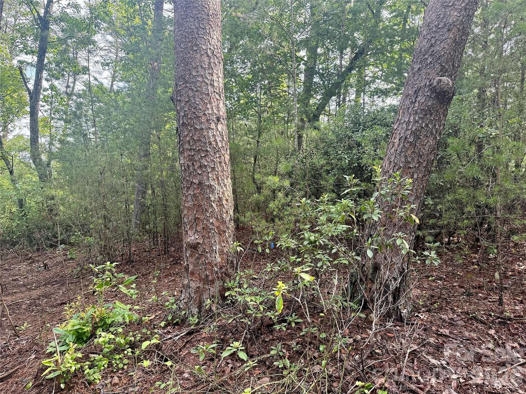 4.47 Acres of Residential Land for Sale in Bostic, North Carolina