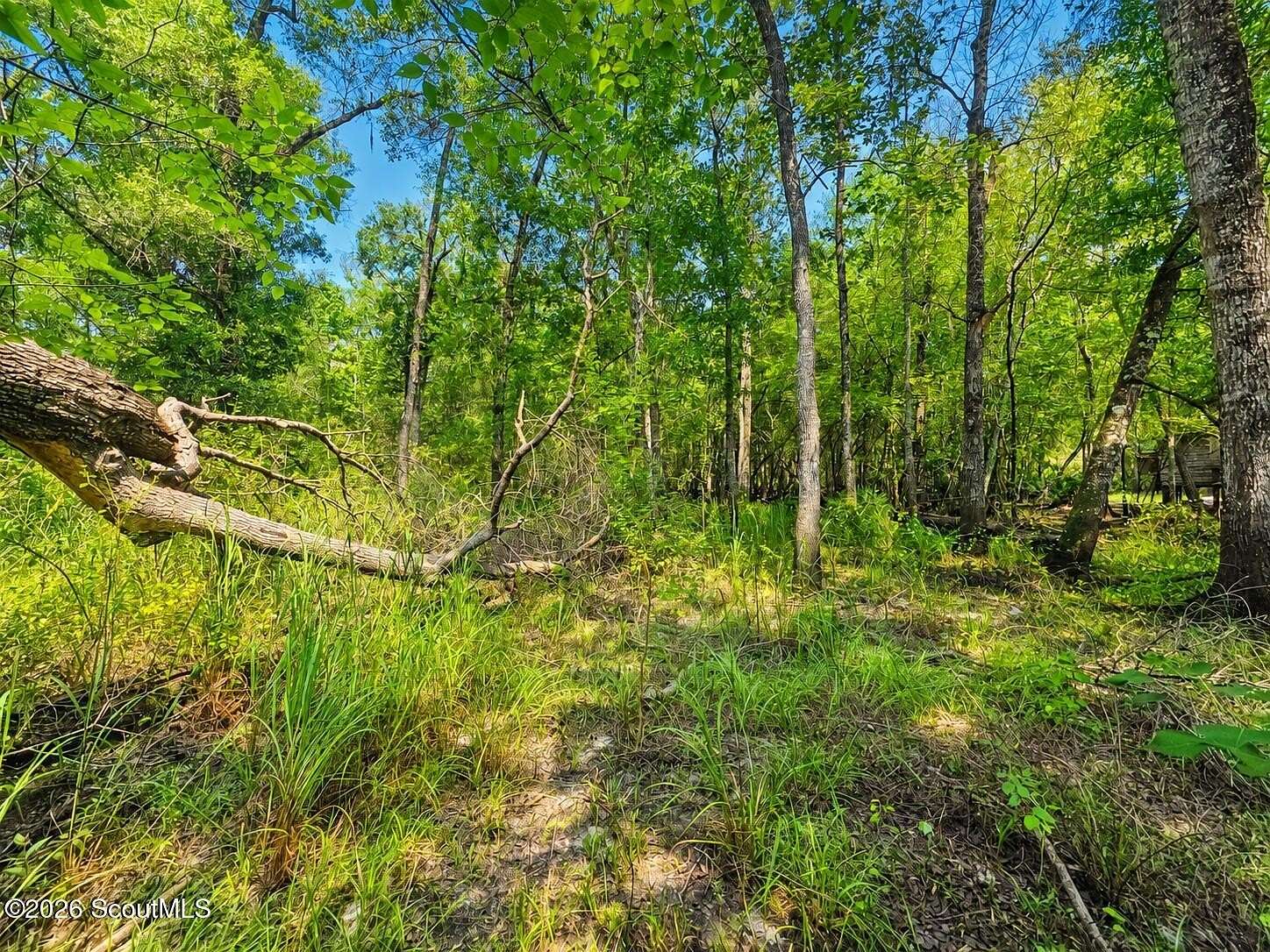 2.36 Acres of Land for Sale in Nahunta, Georgia
