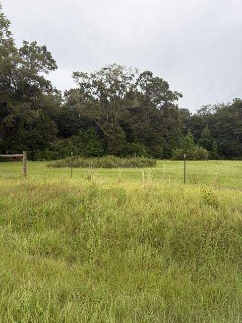 1.26 Acres of Residential Land for Sale in Slocomb, Alabama