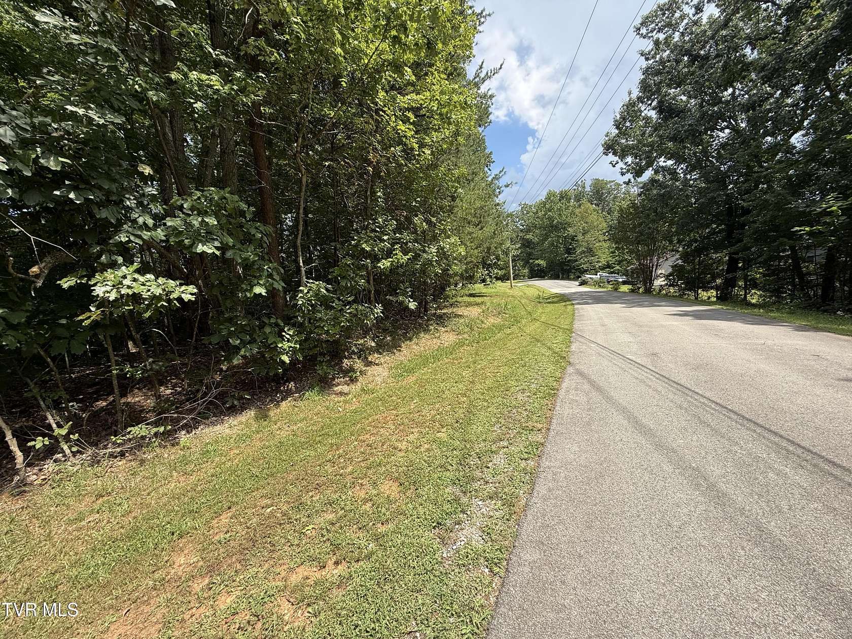 0.41 Acres of Residential Land for Sale in Baneberry, Tennessee