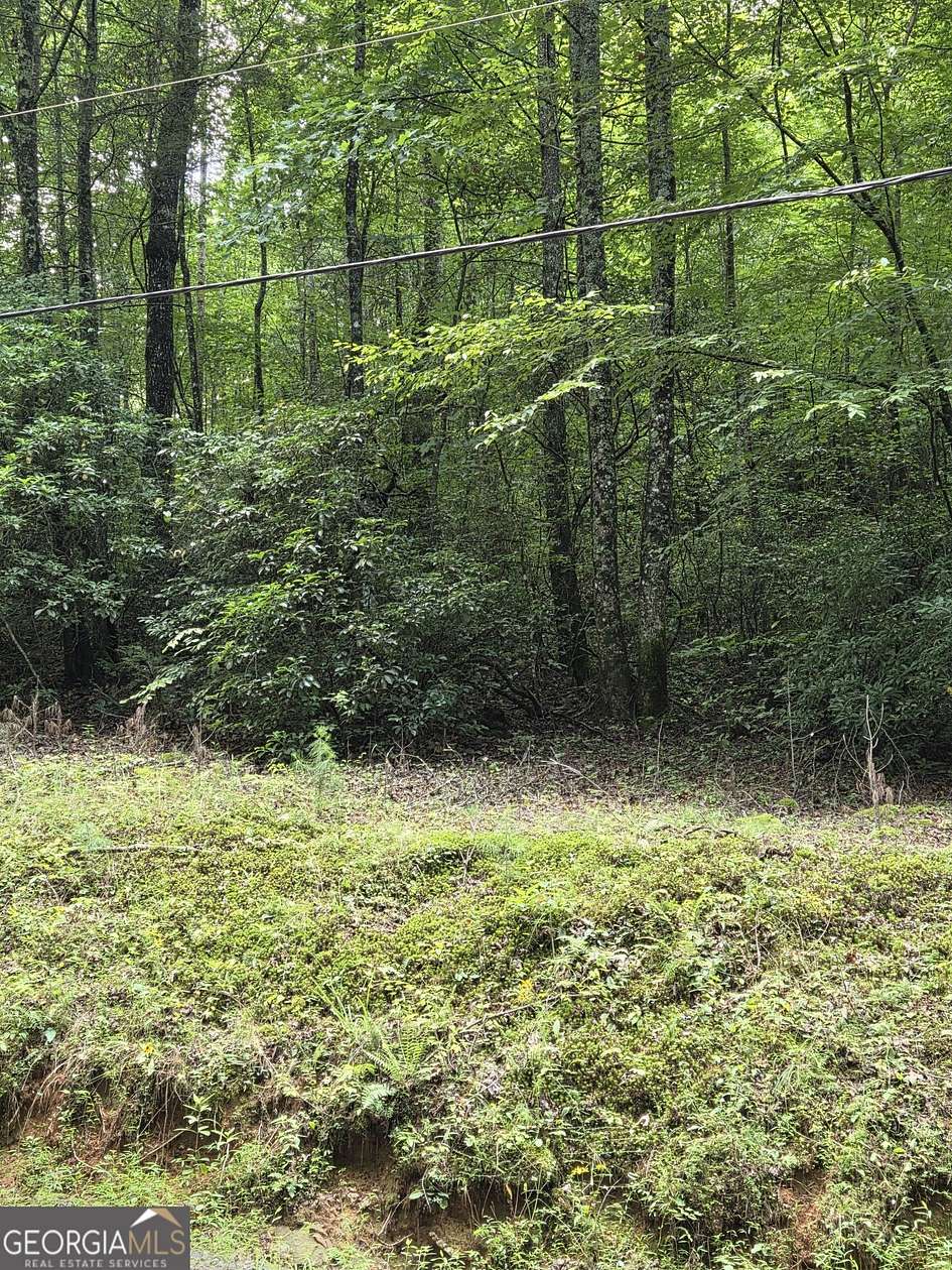 20 Acres of Land for Sale in Ellijay, Georgia