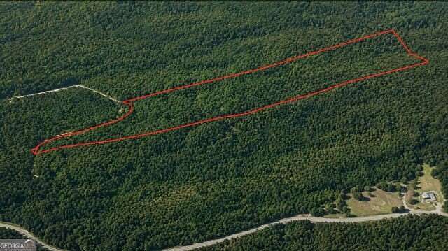 8.1 Acres of Residential Land for Sale in Chatsworth, Georgia