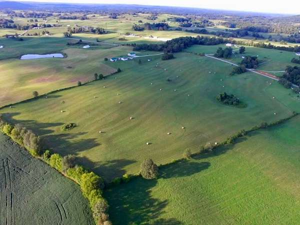229 Acres of Land for Auction in Canmer, Kentucky