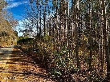 11.9 Acres of Recreational & Residential Land for Sale in Varnville, South Carolina