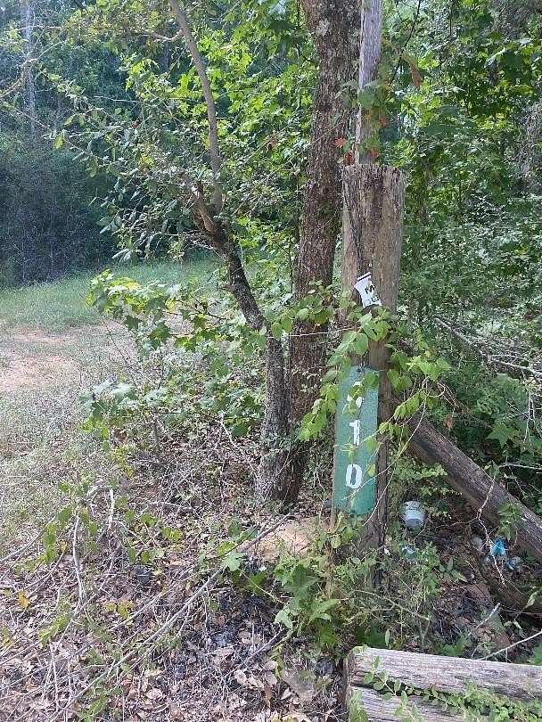 3.5 Acres of Land for Sale in Livingston, Texas