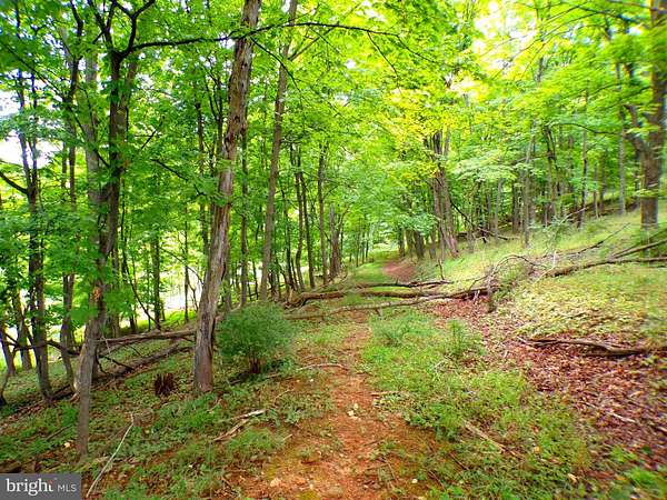 10.1 Acres of Recreational Land for Sale in Keyser, West Virginia
