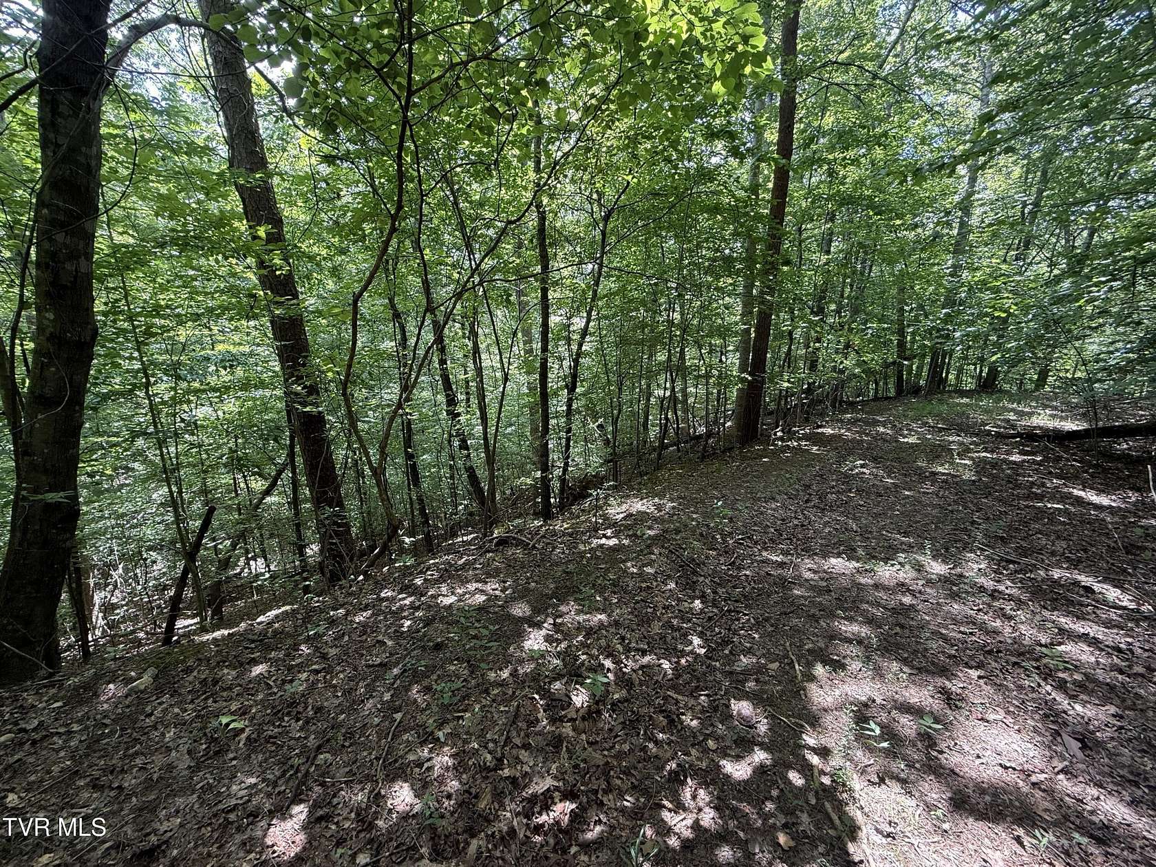 2.33 Acres of Residential Land for Sale in Baneberry, Tennessee