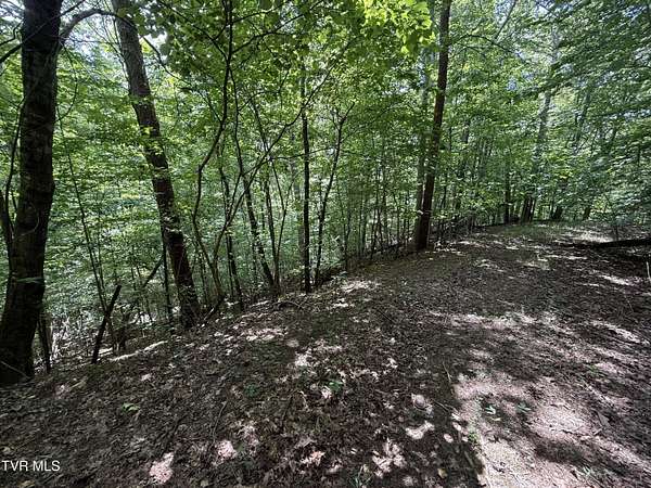 2.33 Acres of Residential Land for Sale in Baneberry, Tennessee