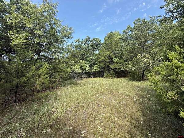 8.85 Acres of Land for Sale in Oakland, Arkansas