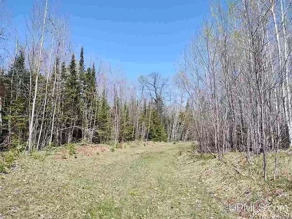 80 Acres of Recreational & Residential Land for Sale in Ontonagon, Michigan