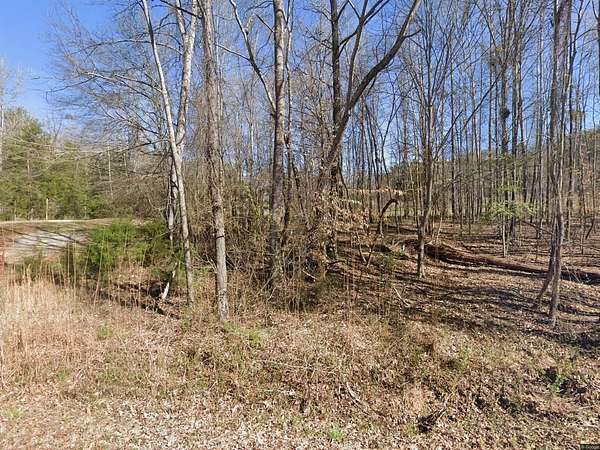 12 Acres of Improved Land for Sale in Jonesville, South Carolina