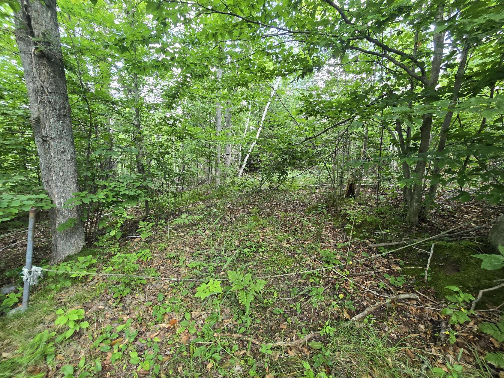 Land for Sale in Johannesburg, Michigan