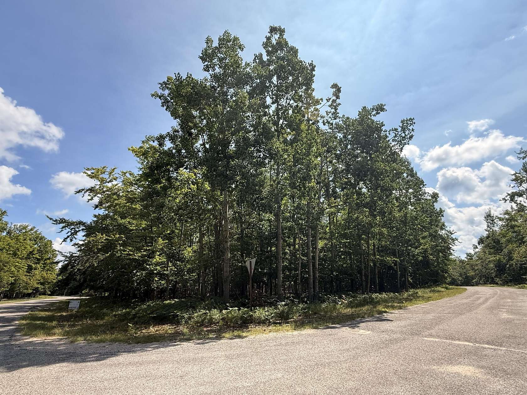 Land for Sale in Gaylord, Michigan
