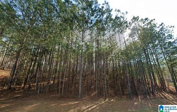 1 Acre of Residential Land for Sale in Calera, Alabama