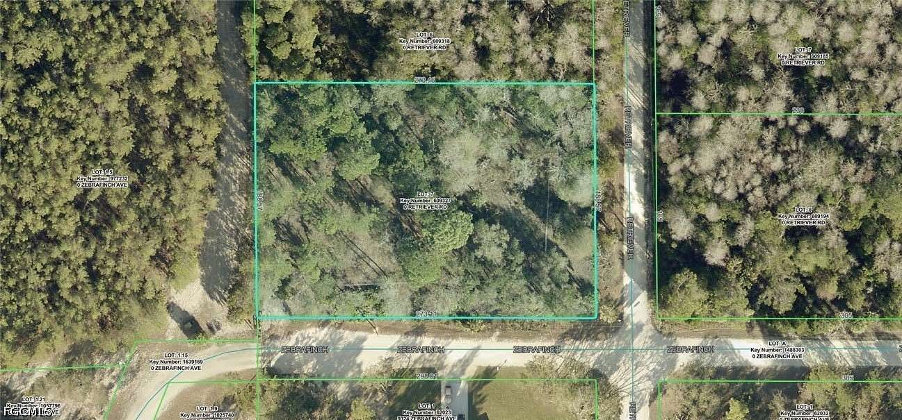 1.18 Acres of Land for Sale in Weeki Wachee, Florida