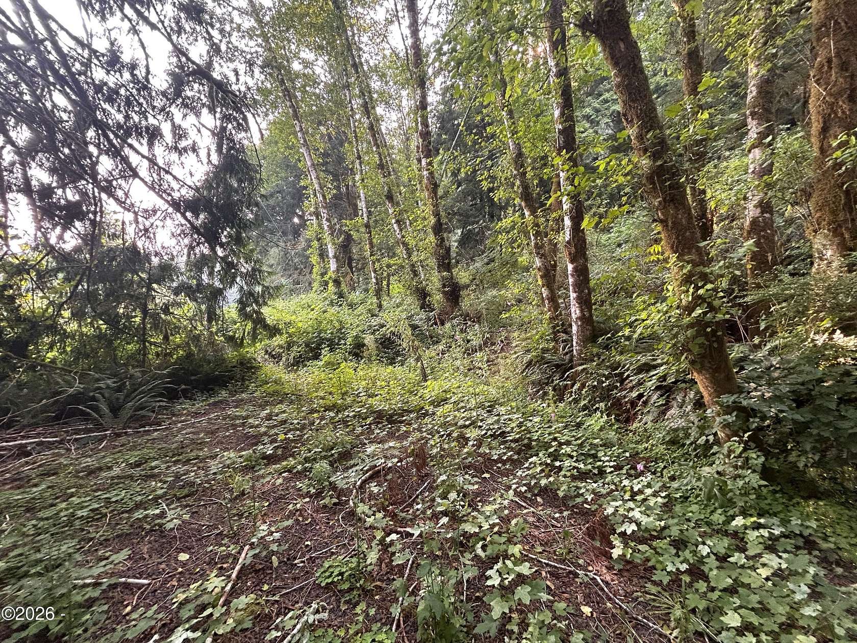 2.76 Acres of Residential Land for Sale in Nehalem, Oregon