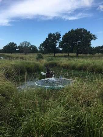 Land for Sale in Vero Beach, Florida