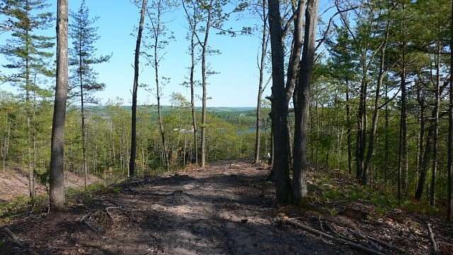 Land for Sale in Walloon Lake, Michigan