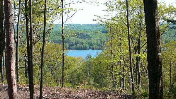 Land for Sale in Walloon Lake, Michigan