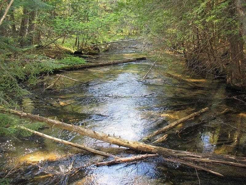 Land for Sale in Petoskey, Michigan