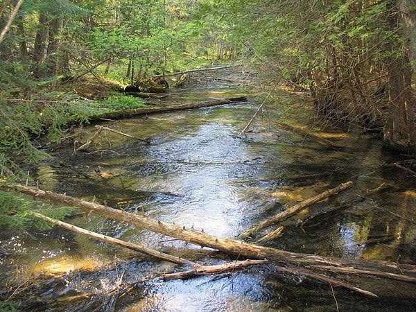 Land for Sale in Petoskey, Michigan