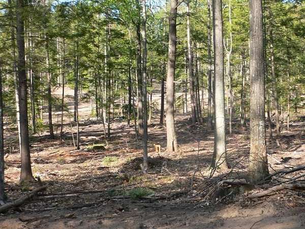 Land for Sale in Walloon Lake, Michigan