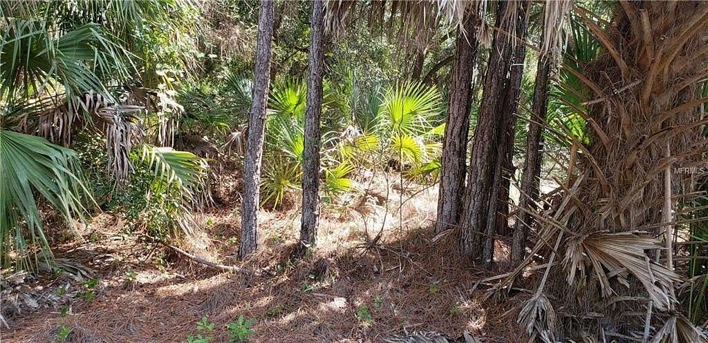 Land for Sale in North Port, Florida