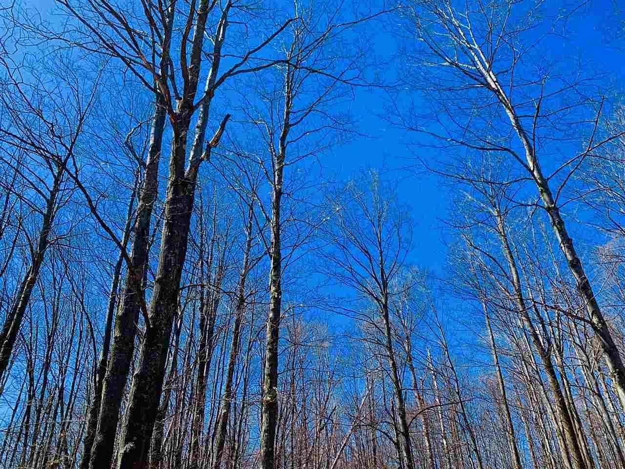 Land for Sale in Mancelona, Michigan