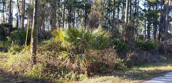 Residential Land for Sale in North Port, Florida