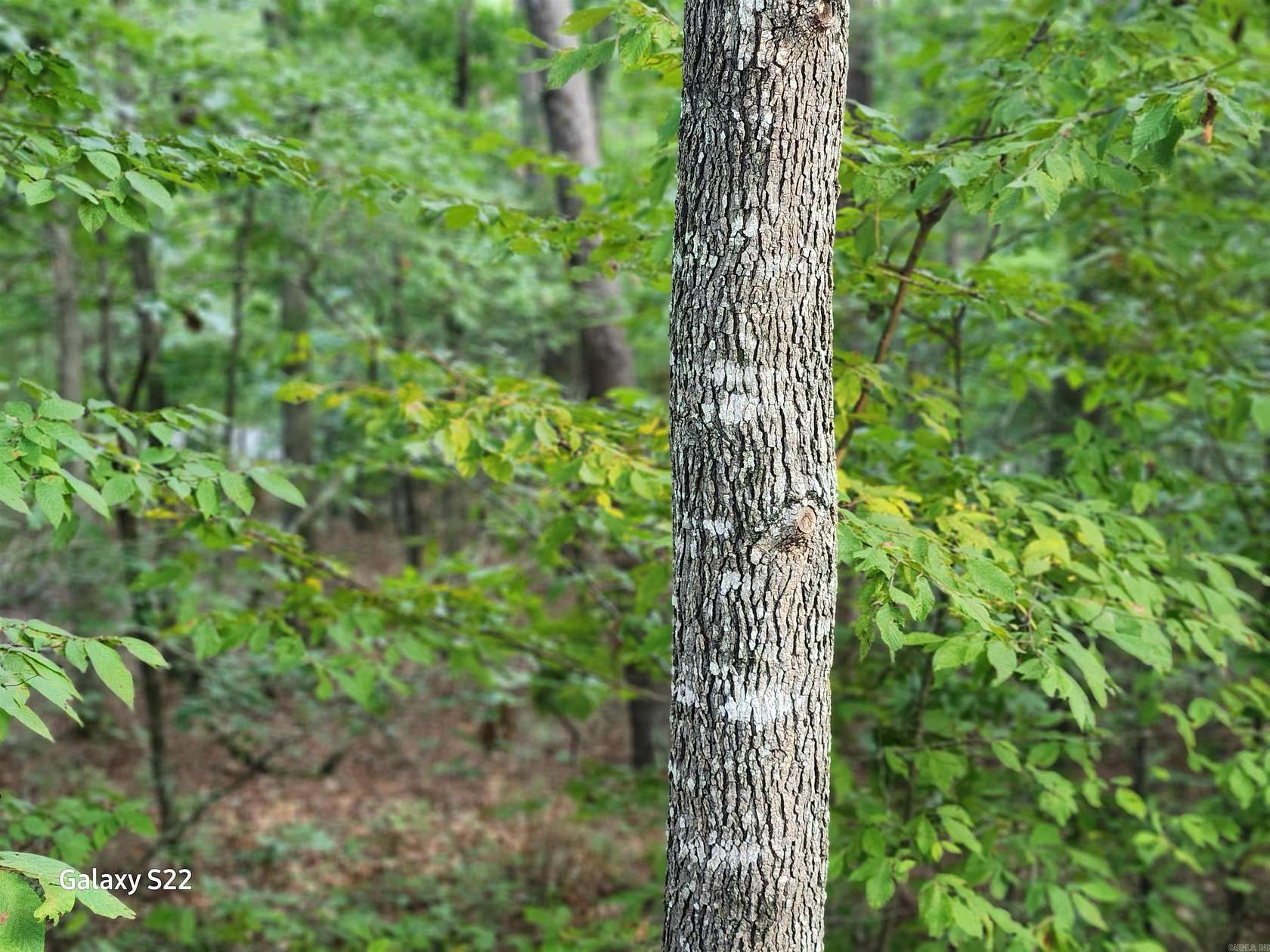 0.22 Acres of Land for Sale in Hot Springs Village, Arkansas