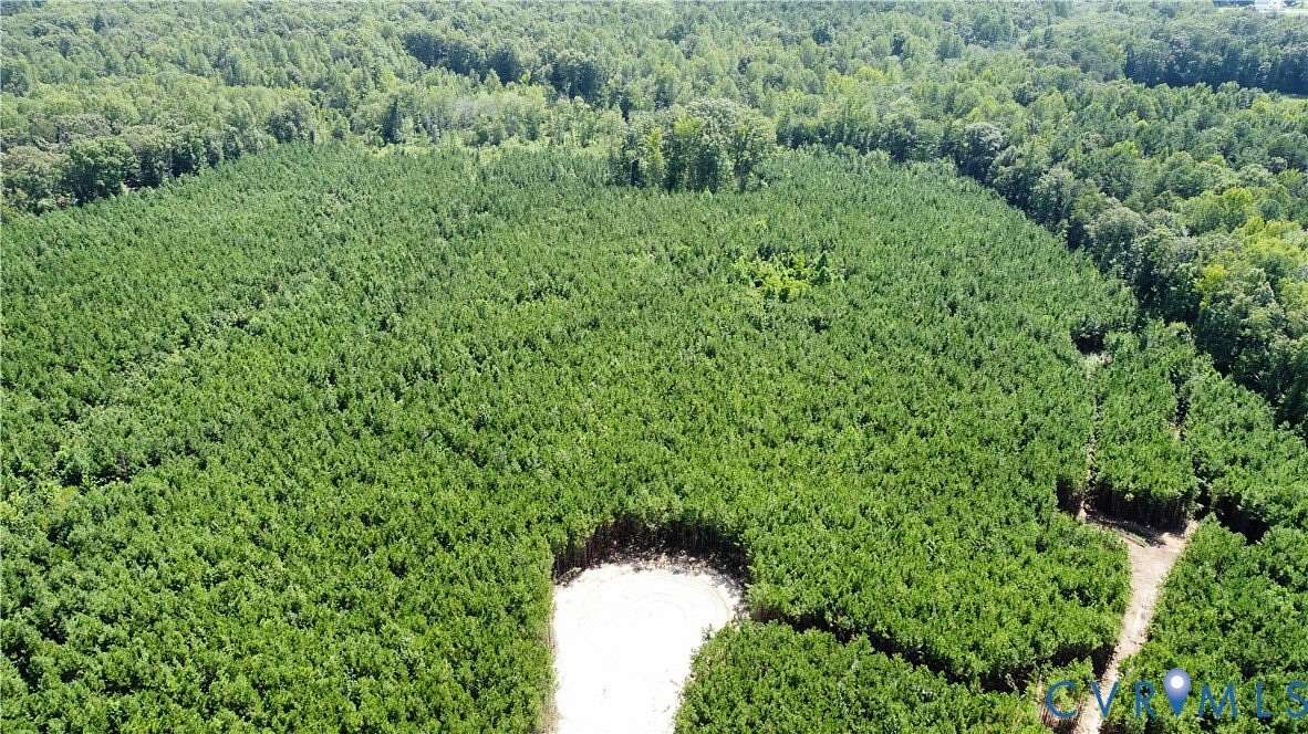 12.4 Acres of Land for Sale in Beaverdam, Virginia
