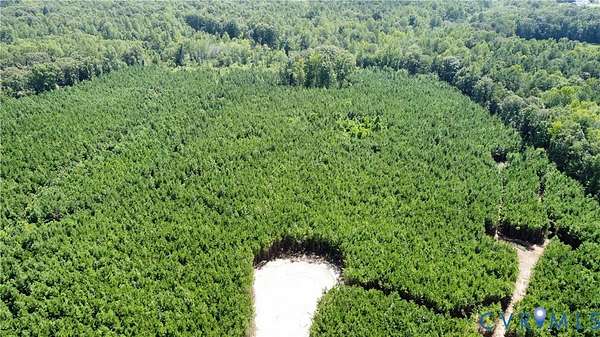12.4 Acres of Land for Sale in Beaverdam, Virginia